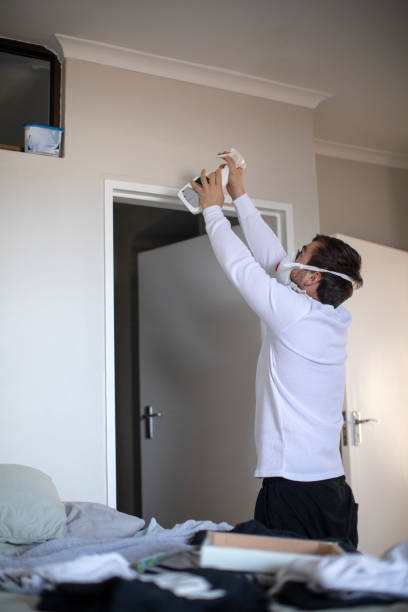 Best Mold Remediation for Vacation Homes  in Lake Station, IN