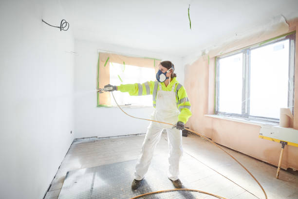 Best Mold Damage Restoration  in Lake Station, IN