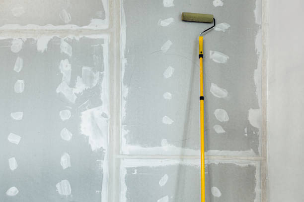 Best Mold Prevention Services  in Lake Station, IN