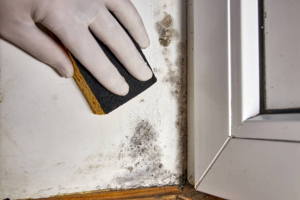 Best HVAC Mold Inspection and Cleaning  in Lake Station, IN