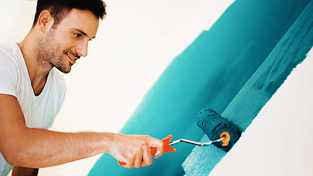Lake Station, IN Mold Removal Company