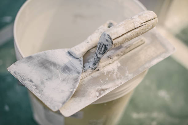 Best Water Damage & Mold Remediation  in Lake Station, IN