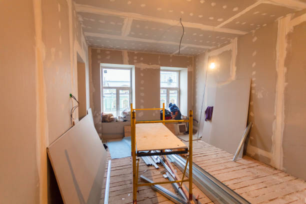 Best Attic Mold Removal  in Lake Station, IN